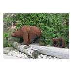  Grizzly Bears - Mother and Cubs 